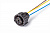 AX5214 Разъем байонет (розетка) 1-967325-1 (3pin) 3 контакта датчика давления воздуха и масла для Камаз, МАЗ, GAZ, UAZ, модулятора ABS для Камаз, МАЗ, Daf, Foton, Hyundai, Iveco, JAC Kia, Mercedes, Renault, Scania, Volvo.