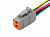 AX8116 Разъем Deutsch DTM06-6S (6pin) 6 контактов для ГАЗ, КАМАЗ, МАЗ, УРАЛ, DAF, IVECO, MAN, Mercedes, Renault, Scania, Tatra.
